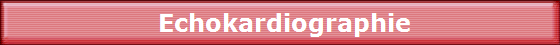 Echokardiographie