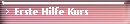 Erste Hilfe Kurs